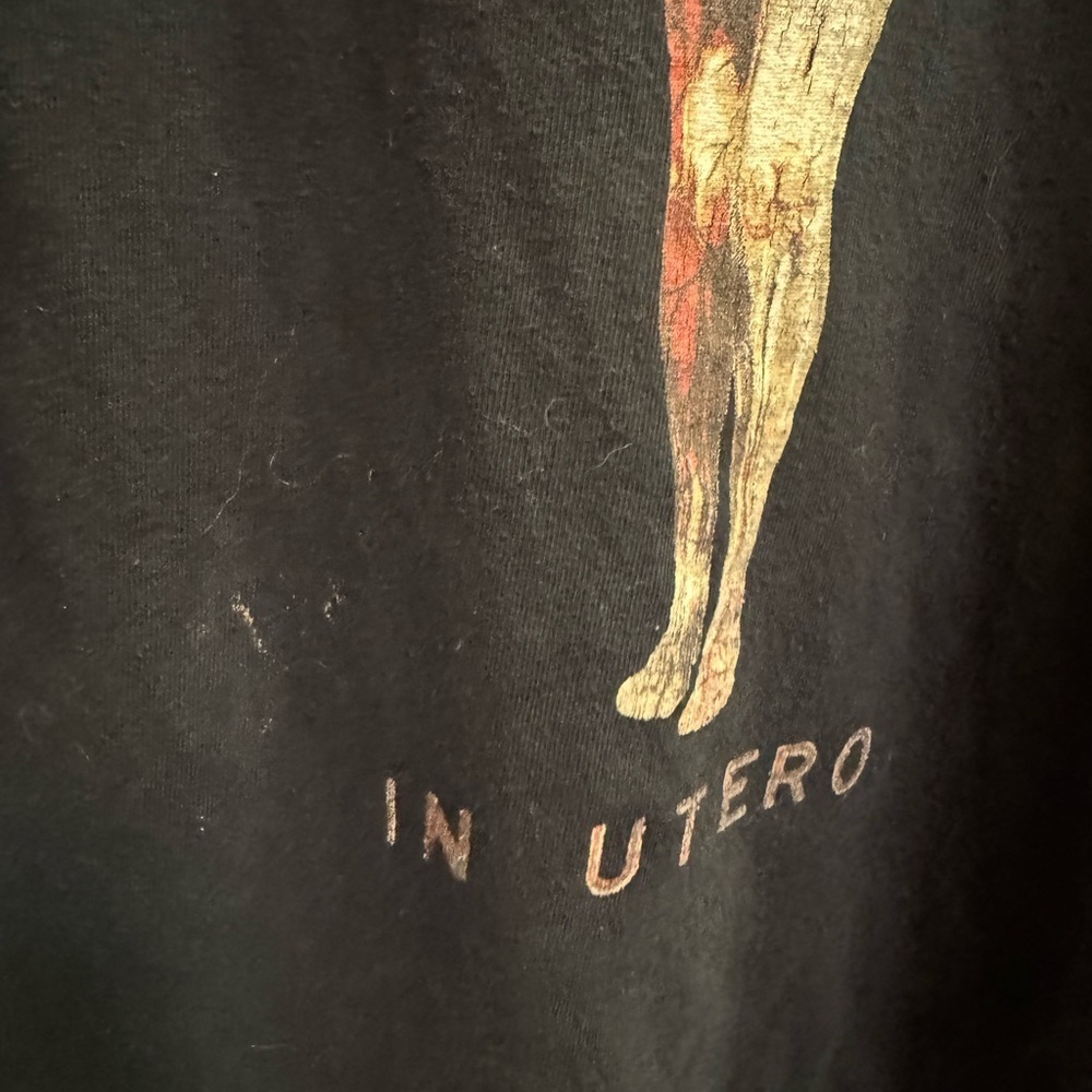 NIRVANA IN UTERO Relaxed Graphic Tee Unisex LG Music Band T-shirt Black - Picture 11 of 12